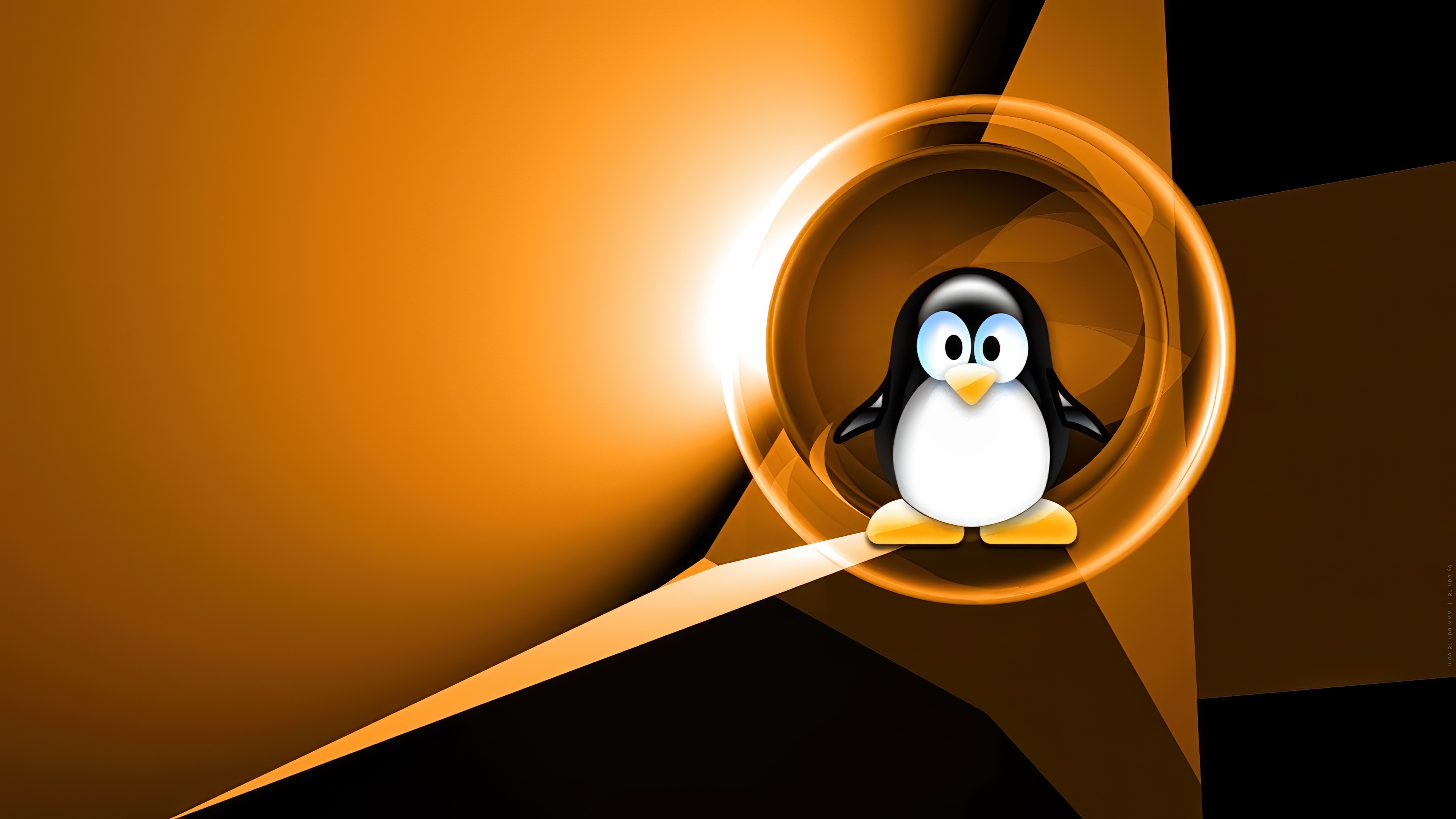 adni18 Linux-202 orange
