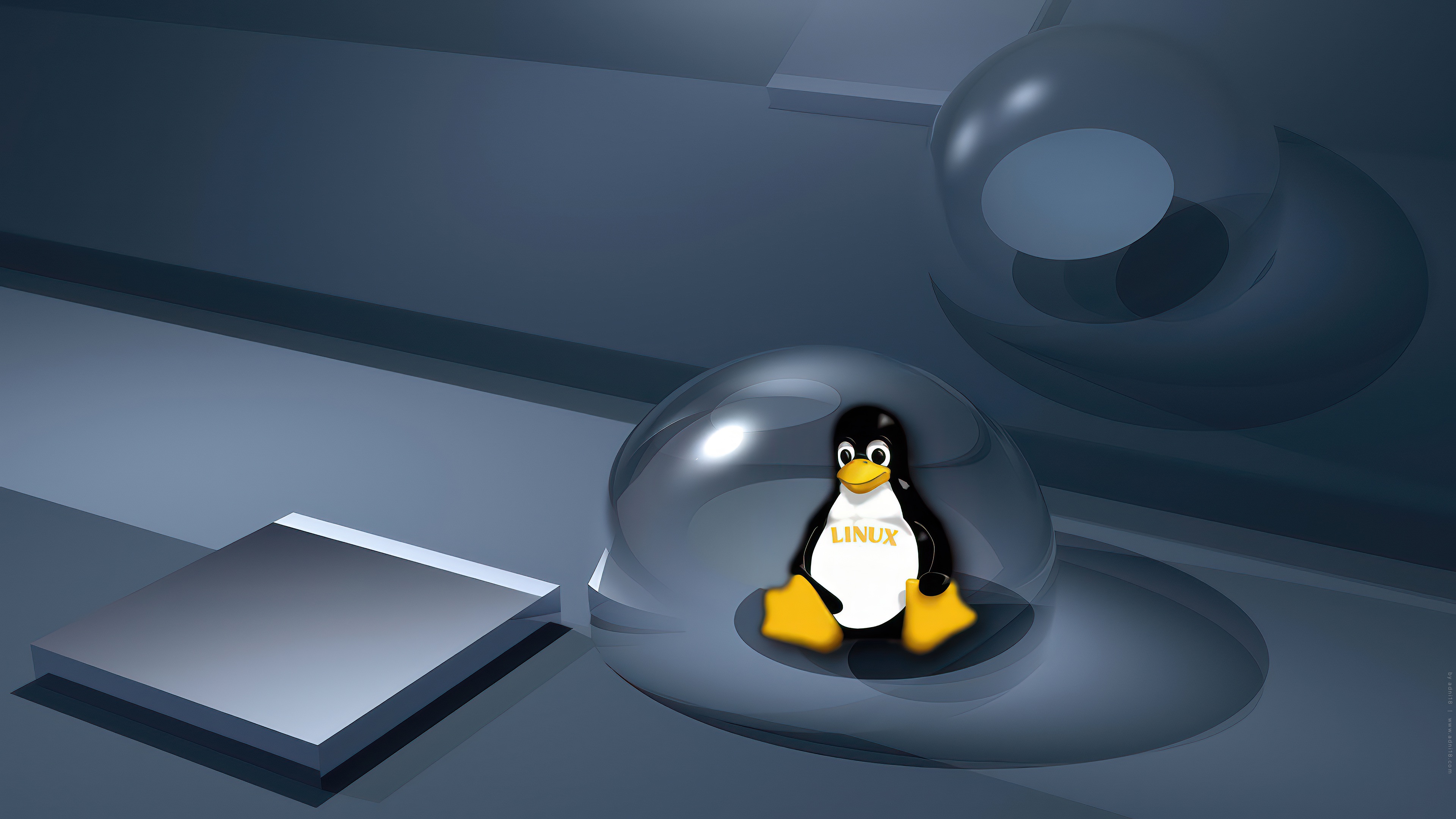 adni18 Linux-366