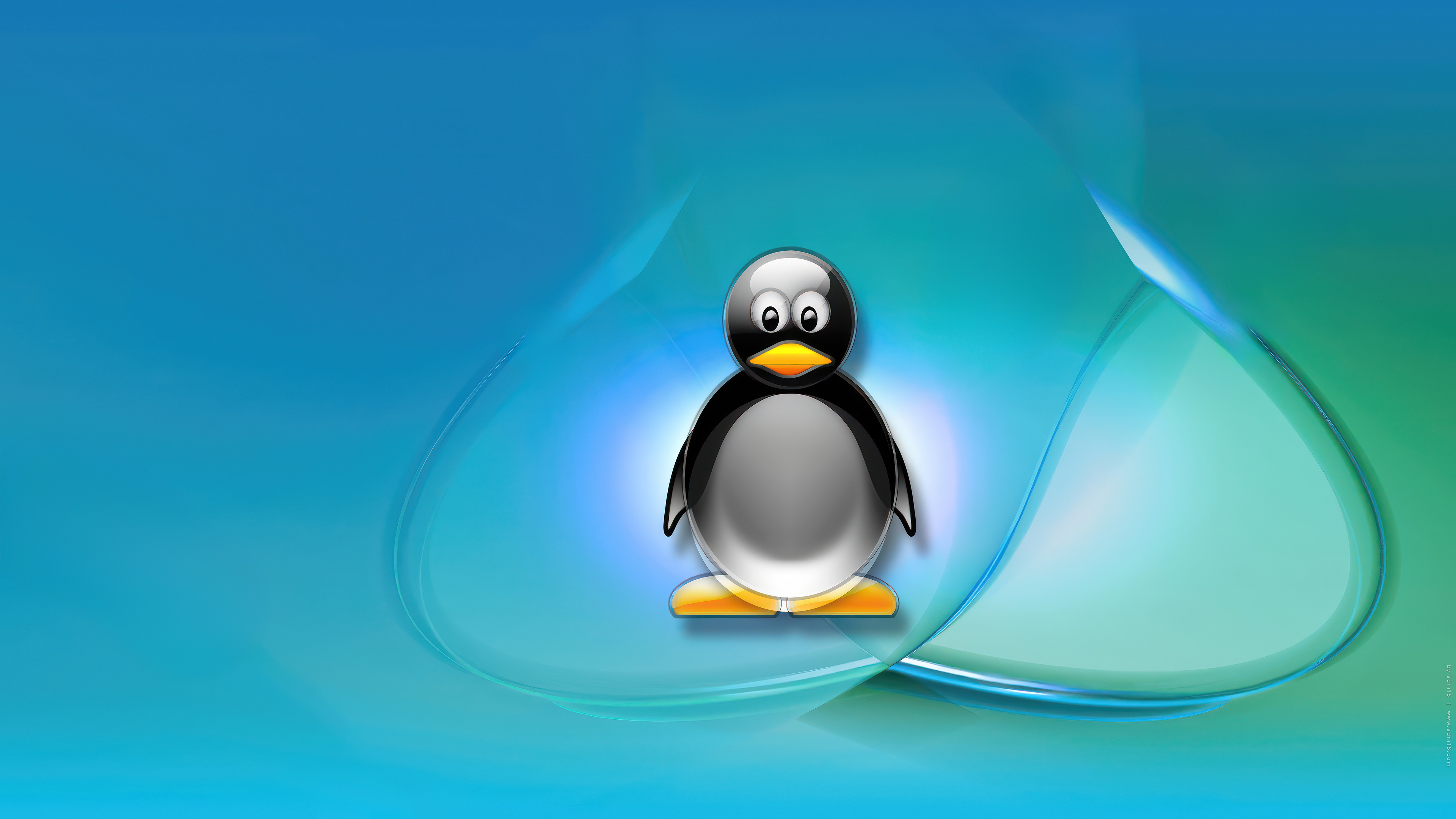 adni18_Linux_-105
