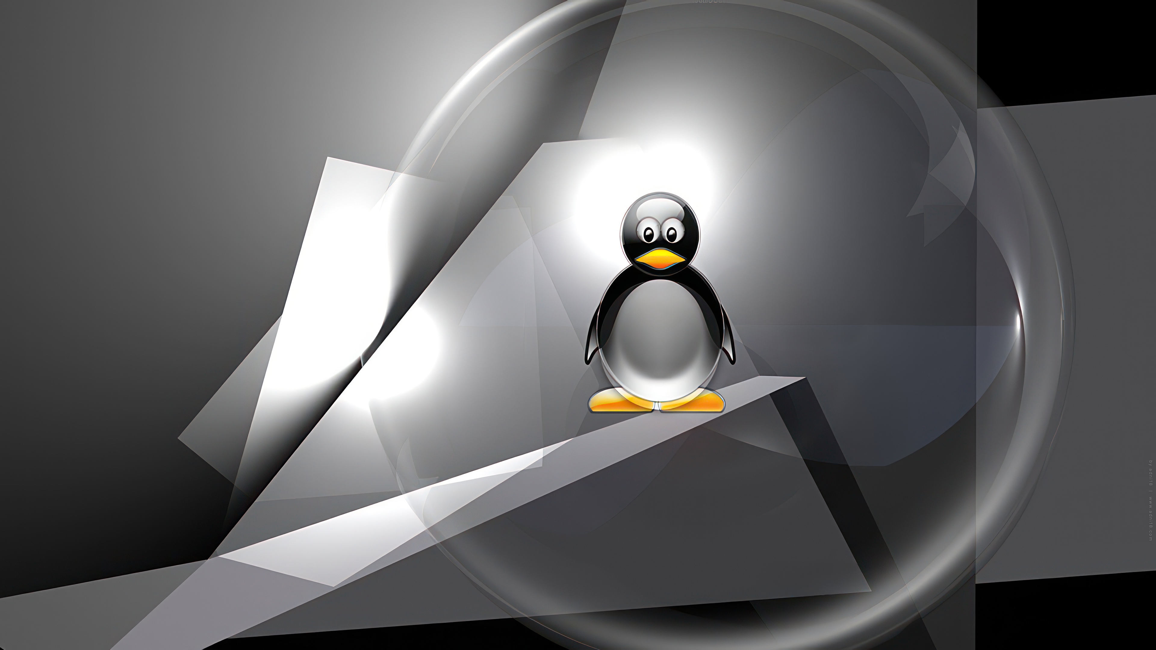 adni18 Linux-203