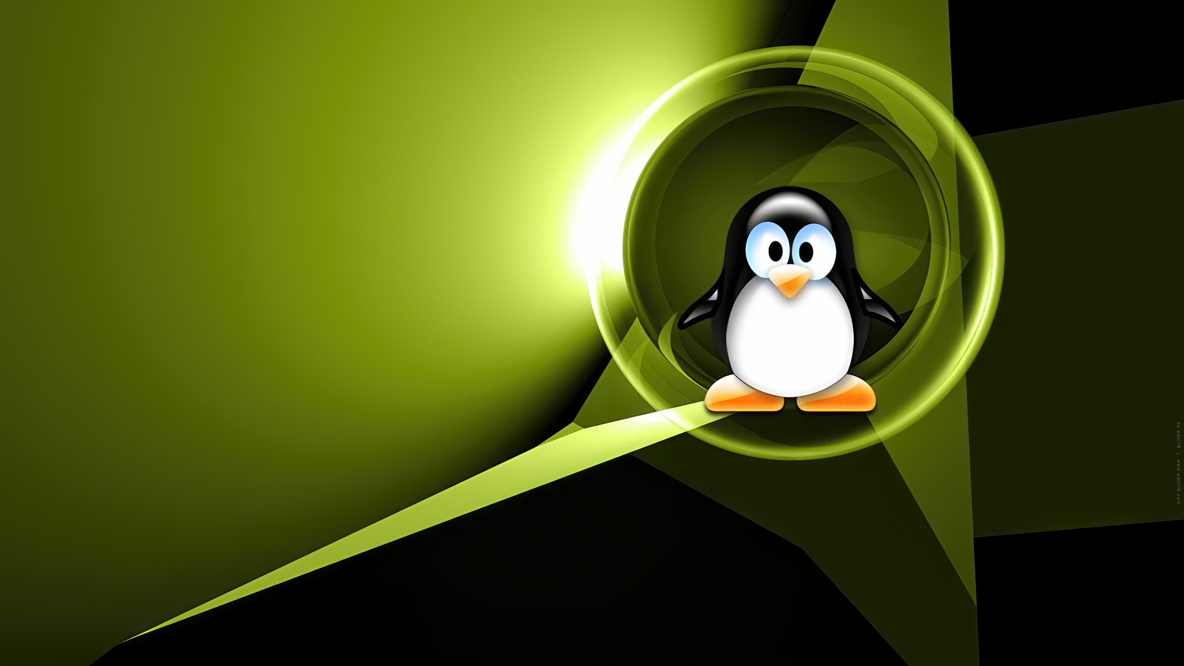adni18 Linux-202
